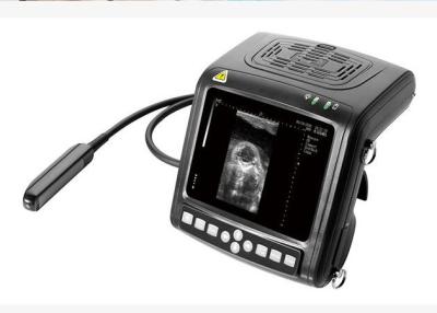 China Handheld Vet B / W Ultrasound Scanner Diagnostic Equipment Multi - Frequency Probes for sale