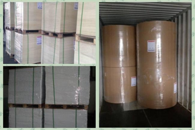 White cardboard 210g 230g 250g C1S one side coated white board For Cosmetics boxes