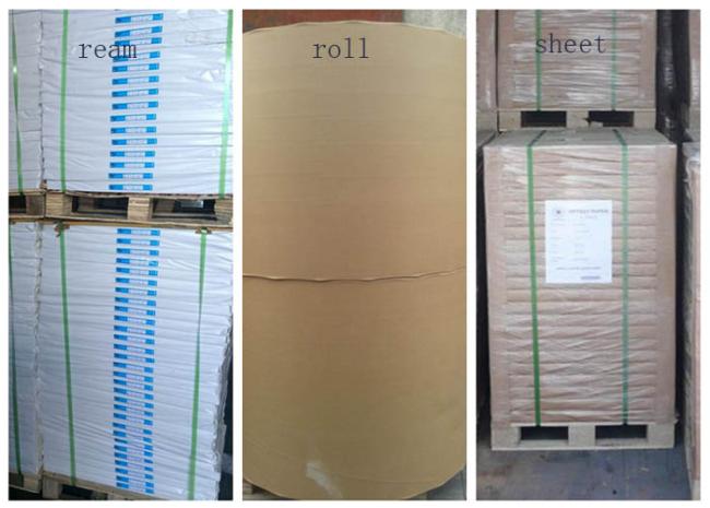 160gsm - 500gsm Thickness One Side Coated Glossy Ivory Board Paper in Roll Ivory board paper