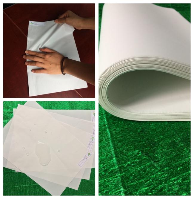 Stone paper