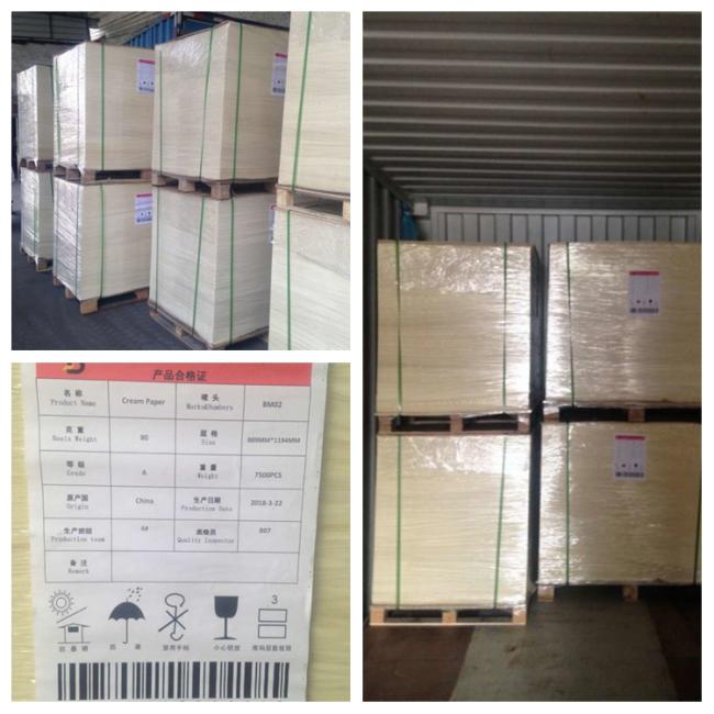 color offset paper, color bond paper, bristol paper board, cream paper, beige writing paper