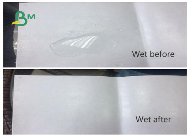 PE coated white kraft paper