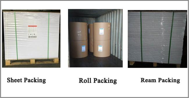 C1S coated art paper 90gsm 100gsm 120gsm C1S glossy coated art paper With Competitive Price