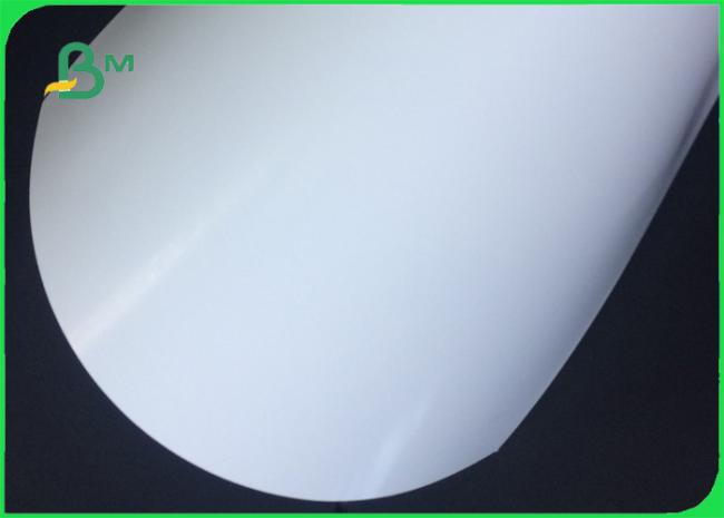 SBSPaperboard 210gsm 250gsm 300gsm High density White SBB Paperboard For paper cup