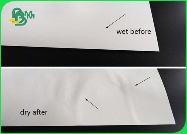 absorbent paper
