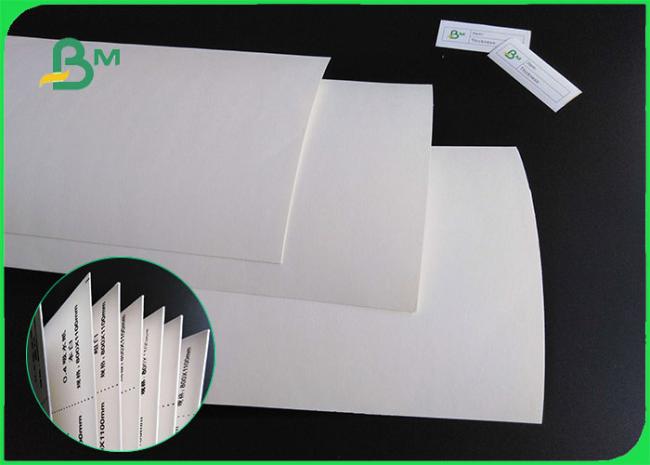 absorbent paper