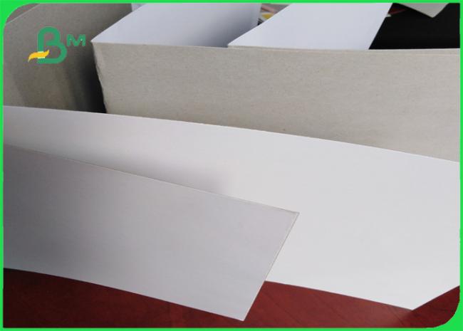 white horse duplex board www.bmpaper.com