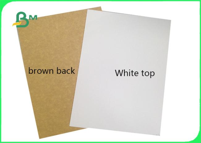 Clay Coated Kraft Back