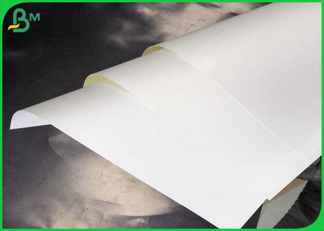 PE Coated SBS FBB Paper PE Coated SBS FBB Paper