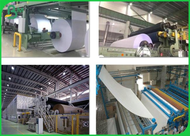 pe coated paper pe coated paper