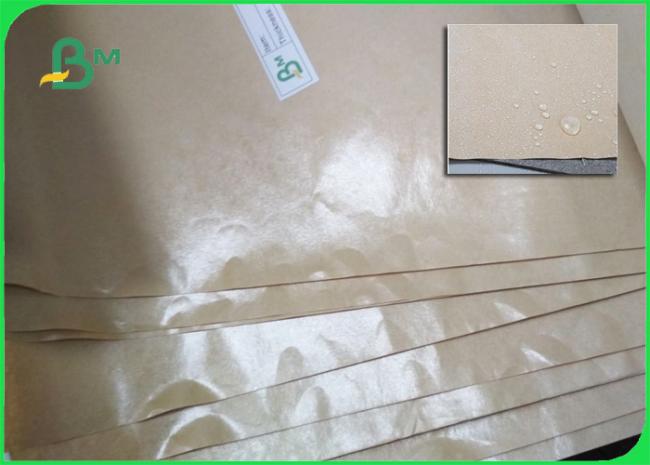 pe coated kraft paper www.bmpaper.com