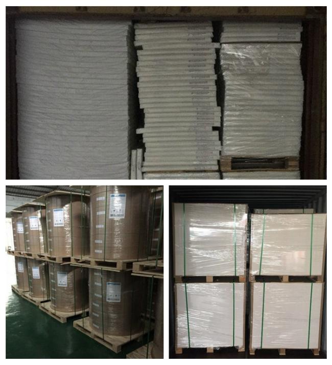 White PE Kraft Paper 15g / 18g / 20g White PE Kraft Paper Coated One Side And Two Sides For Packing Food