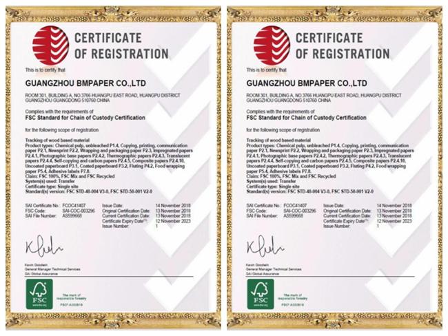 Clay Coated Paper Great Stiffiness Grey Back White Side Clay Coated Paper Offset Printing In Rolls