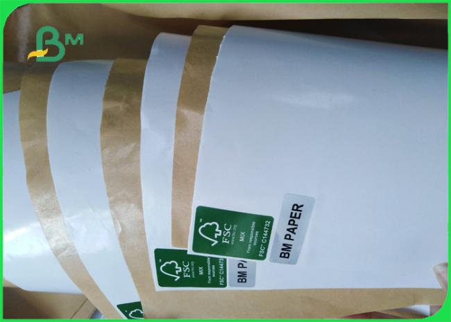 pe coated kraft paper www.bmpaper.com