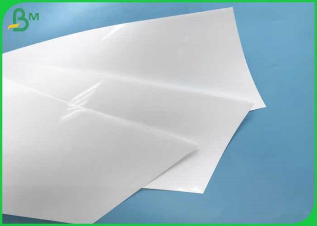 photo paper photo paper
