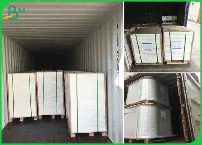 absorbent paper High Absorption 0.4mm 0.5mm 0.6mm Super White Absorbent Paper For Coaster Board