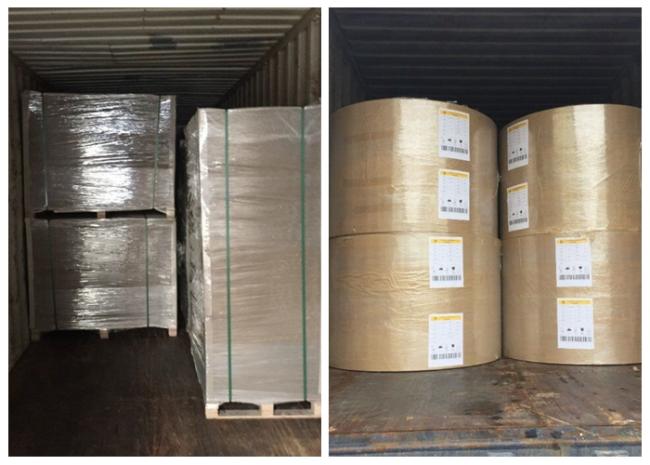 White Stone Paper 120G 168G High Whiteness Stone Paper Tear Resistant Eco - friendly Thick Paper