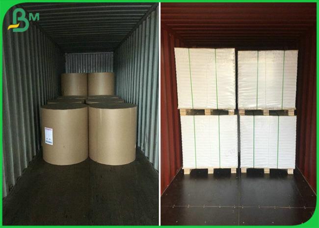 pe coated paper 50gsm - 350gsm Moisture - proof Food Grade PE Coated Paper For Food Packages