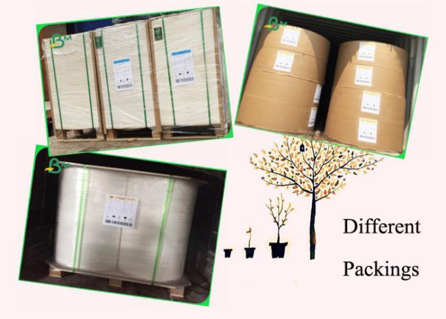 80g 100g UWF Uncoated Woodfree Paper Packing In Rolls Can PE Coated 1000mm 80g 100g UWF Uncoated Woodfree Paper Packing In Rolls Can PE Coated 1000mm