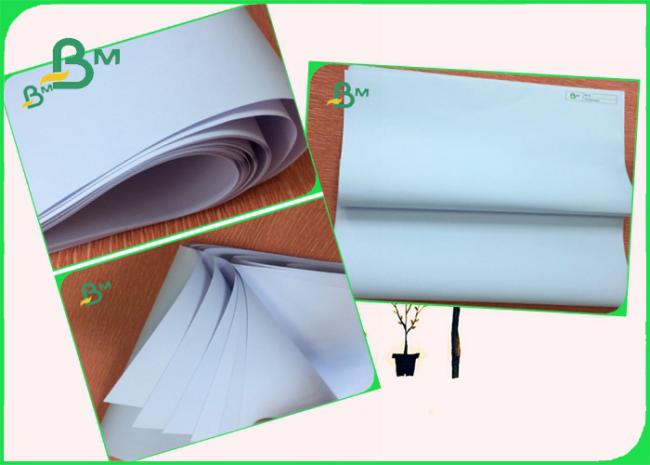 80g 100g UWF Uncoated Woodfree Paper Packing In Rolls Can PE Coated 1000mm 80g 100g UWF Uncoated Woodfree Paper Packing In Rolls Can PE Coated 1000mm