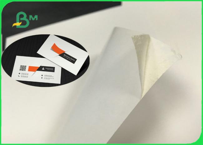 High Bulk Ecofriendly GC1 FBB Ivory Board Paper For Box Packing 250gsm - 300gsm High Bulk Ecofriendly GC1 FBB Ivory Board Paper For Box Packing 250gsm - 300gsm