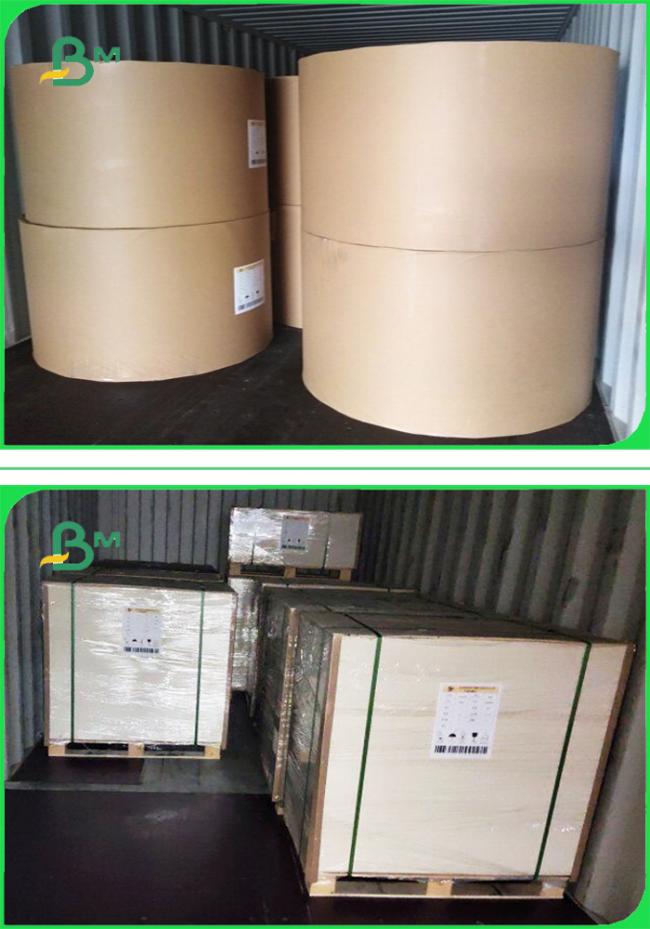 250gsm to 400gsm Duplex Board One Side Grey Good Stiffiness In Jumbo Reels 250gsm to 400gsm Duplex Board One Side Grey Good Stiffiness In Jumbo Reels