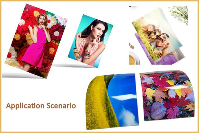 High Glossy Coated / Matte Inkjet Printing Photo Paper Instant Drying 260gsm High Glossy Coated / Matte Inkjet Printing Photo Paper Instant Drying 260gsm