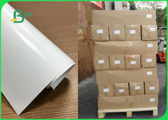 High Glossy Coated / Matte Inkjet Printing Photo Paper Instant Drying 260gsm High Glossy Coated / Matte Inkjet Printing Photo Paper Instant Drying 260gsm
