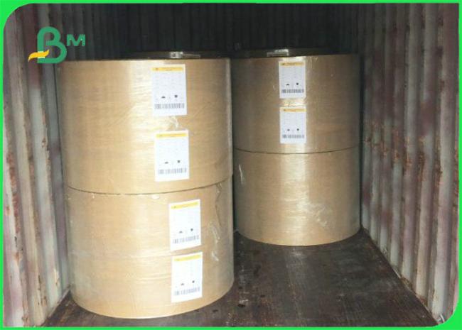 Virgin Pulp 250gsm 300gsm 365gsm White Top Kraft Liner For Packing Food Virgin Pulp 250gsm 300gsm 365gsm White Top Kraft Liner For Packing Food