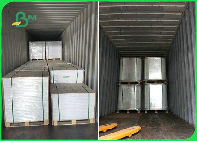 50gsm 60gsm 70gsm Oil - proof Single PE Coated Paper Roll For Packing Food 50gsm 60gsm 70gsm Oil - proof Single PE Coated Paper Roll For Packing Food
