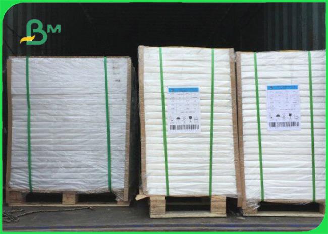 40gsm 50gsm 60gsm Greaseproof PE Coated Paper Roll For Food Packaging 40gsm 50gsm 60gsm Greaseproof PE Coated Paper Roll For Food Packaging