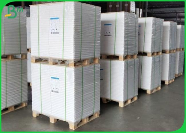 Food Bag Paper 70g 100g 120g Thick Sack White Kraft Paper Virgin 600MM Rolls Food Bag Paper 70g 100g 120g Thick Sack White Kraft Paper Virgin 600MM Rolls