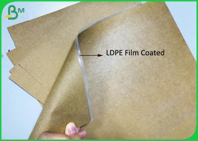 Grease resistant 15G LDPE coated Brown Paper 300Gsm Craft Board Food Paper Tray Grease resistant 15G LDPE coated Brown Paper 300Gsm Craft Board Food Paper Tray