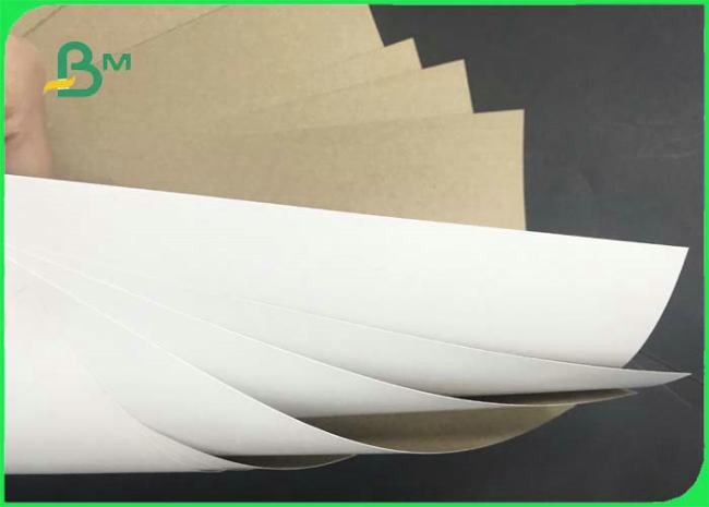 Good Stiffness 140gsm 170gsm Coated White Top & Uncoated Liner Paper For Cartons Good Stiffness 140gsm 170gsm Coated White Top & Uncoated Liner Paper For Cartons