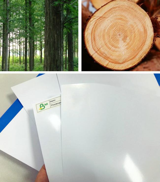 Dye inkjet Photo Glossy Paper 190g 200g RC Matte Coated ROLL 610MM 914MM Dye inkjet Photo Glossy Paper 190g 200g RC Matte Coated ROLL 610MM 914MM