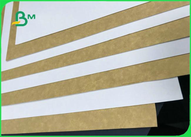 Virgin Wood Pulp 250gsm 300gsm 350gsm White Top Kraft Liner For Packages Box Virgin Wood Pulp 250gsm 300gsm 350gsm White Top Kraft Liner For Packages Box