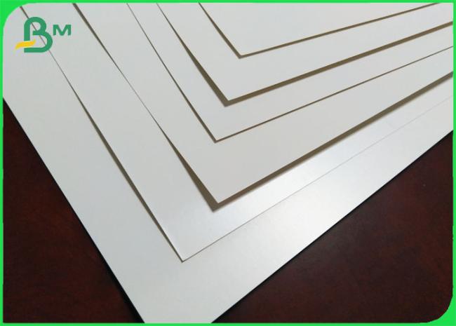 350gsm Take Out Food Container Paper Board FDA 15gr PE Sheet & Roll 350gsm Take Out Food Container Paper Board FDA 15gr PE Sheet & Roll