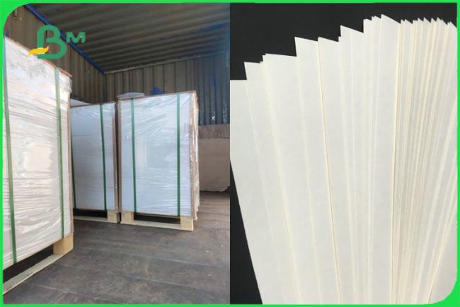 100% Virgin Biodegradable Uncoated Paper Cup Base Paper 170 - 300gsm FDA FSC 100% Virgin Biodegradable Uncoated Paper Cup Base Paper 170 - 300gsm FDA FSC