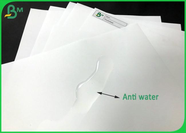 250 Microns Double sided Coated 100% Anti - Tear Synthetic Paper For UV Printing 250 Microns Double sided Coated 100% Anti - Tear Synthetic Paper For UV Printing