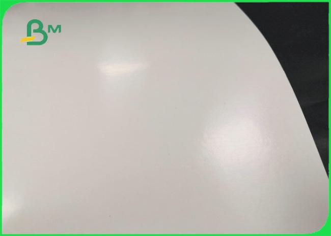 Food Grade Single PE White Coated Paper 300gsm + 15gsm Sheet Greaseproof Food Grade Single PE White Coated Paper 300gsm + 15gsm Sheet Greaseproof