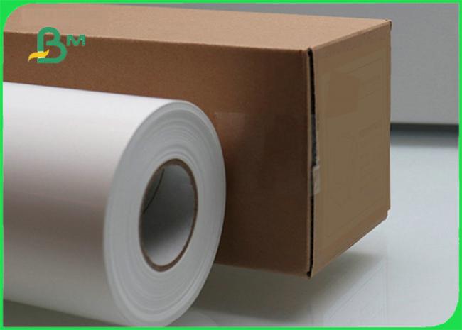 260gsm RC Resin Coated Waterproof Glossy Photo Paper For Inkjet Printer 24" 36" 260gsm RC Resin Coated Waterproof Glossy Photo Paper For Inkjet Printer 24" 36"