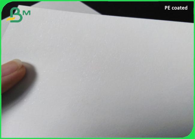 100% biodegradable PLA Coated paper cup base Paper 210g + 26g 100% biodegradable PLA Coated paper cup base Paper 210g + 26g