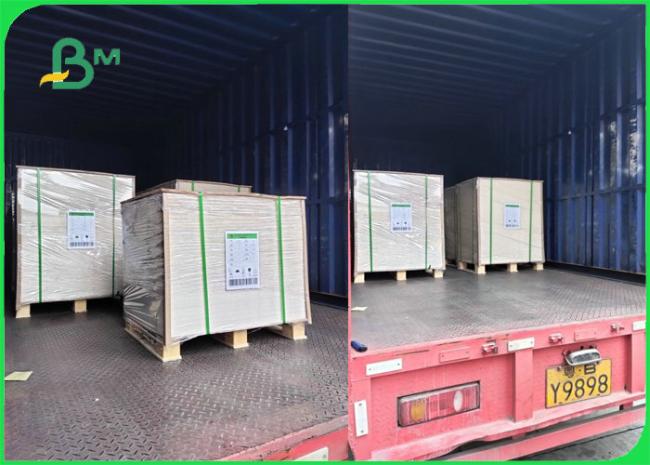 230gsm 260gsm PLA Coated Cardboard For Bowls 100% Biodegradable Food Safe 230gsm 260gsm PLA Coated Cardboard For Bowls 100% Biodegradable Food Safe