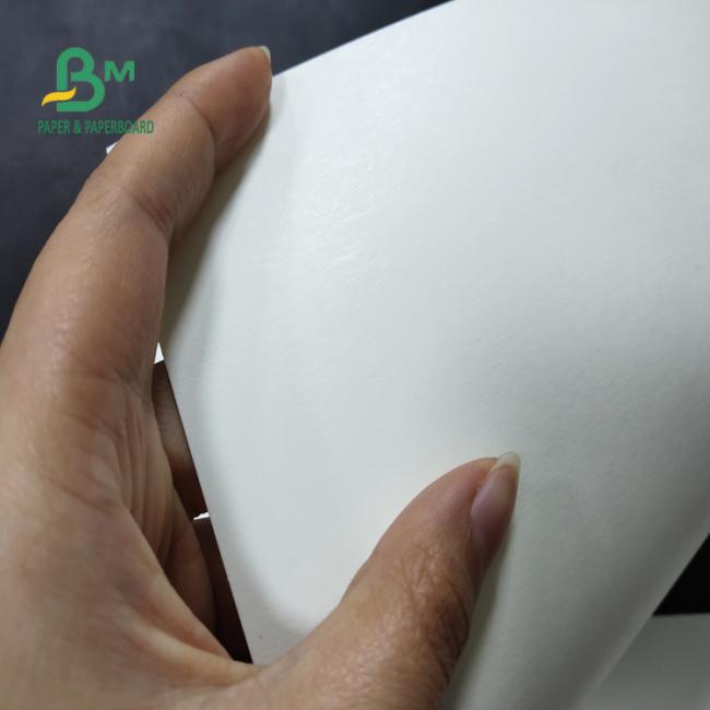 170g 190g 210g Watertight PE Coating Cup Paper 550mm Roll FDA Approved 170g 190g 210g Watertight PE Coating Cup Paper 550mm Roll FDA Approved