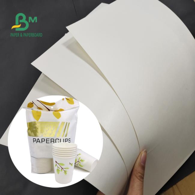 170g 190g 210g Watertight PE Coating Cup Paper 550mm Roll FDA Approved 170g 190g 210g Watertight PE Coating Cup Paper 550mm Roll FDA Approved