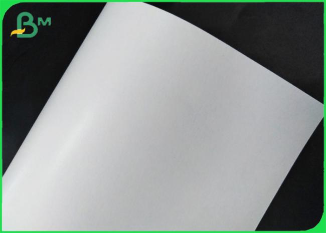 Fully Renewable Cupstock Paper Rolls Coated Polyethylene 18g + 10gsm Fully Renewable Cupstock Paper Rolls Coated Polyethylene 18g + 10gsm
