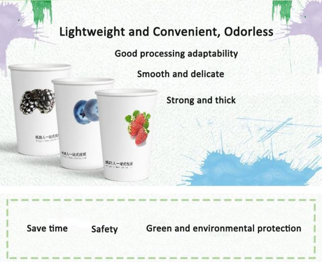 High Bulking 100% Wood Pulp Cupstock Based Paper 170 - 210 GSM Food Grade