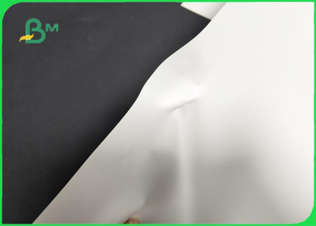 120gsm 170gsm 240gsm 220mm Stone Paper Environmental Protection For Calendary 120gsm 170gsm 240gsm 220mm Stone Paper Environmental Protection For Calendary