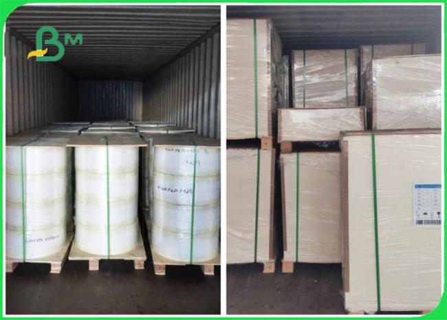 120gsm 170gsm 240gsm 220mm Stone Paper Environmental Protection For Calendary 120gsm 170gsm 240gsm 220mm Stone Paper Environmental Protection For Calendary