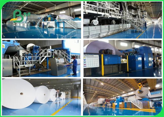 Good Stiffness 60'' 62'' 73'' Matte Inkjet Plotter Roll For Shoe Industry
